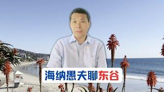 海纳愚夫聊东谷 东谷这轮房价为何涨势迅猛，回调也迅猛？东谷会成为下一个华人区吗？东谷房价未来走势会如何？  ｜美国房产投资｜海纳地产｜海纳愚夫访谈｜海纳愚夫漫谈美国房产｜东谷房产投资