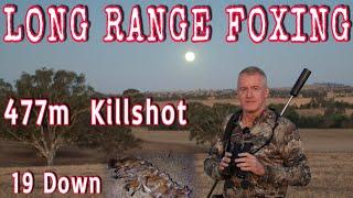 LONG RANGE FOX SHOOTING || 477m Kill-Shot || 19 Down