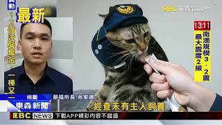 桃園波麗士大人「收編」浪貓 變身喵喵員警@newsebc