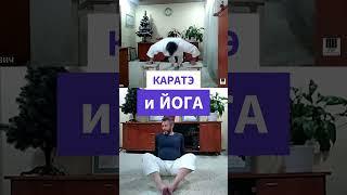 Онлайн занятия по каратэ и йоге для детей в центре Сатори #karate #hometraining #martialarts