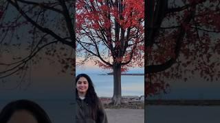 Canada beauty | Nature  #foryou #fyp #punjabi #ontario #avilashvlog #theavilashpodcast #naturelovers