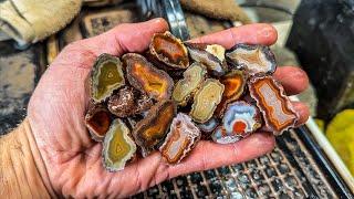 Cutting these African Agates NEVER disappoints! Banded & Colorful Gems