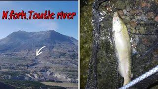 Salmon fishing Mt.St.Helens rivers