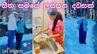 ️Day In The Life| සීතලේ ගෙවුණු අපූරු දවස|Life In Japan|Sinhala Vlogs|Meal Prep|Japan Vlog