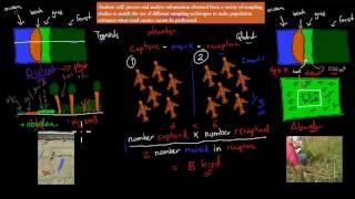 3. Sampling techniques for Distribution and abundance (Preliminary biology)