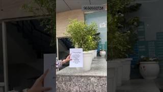 Residential Plots Near Noida International Airpot By Haven Hub..#youtubeshorts#youtube
