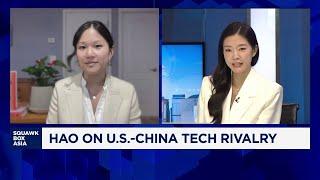 Author warns danger of Silicon Valley's scale at all costs AI approach