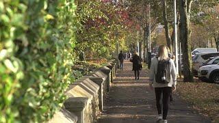 Undergraduate study at Cardiff School of Biosciences