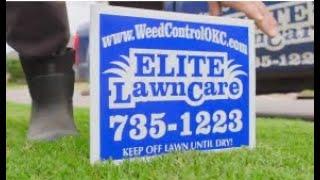 Elite Lawn Care: Your Shortcut to a Beautiful and Healthy Yard!