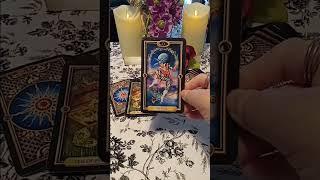 Your Energy Check In Tarot Reading #tarot #tarotreading #daily #tarotcards