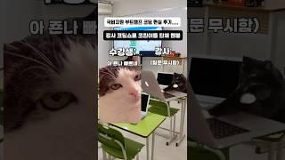 국비지원 부트캠프 코딩 현실 후기.. ㅠㅠ #고양이밈 #국비지원 #부트캠프