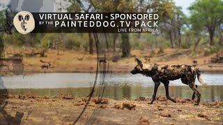 LIVE Safari Sponsored by the Painteddog.tv Pack | 6 November 2024