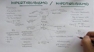 Hipertiroidismo Hipotiroidismo: causas, signos, síntomas y tratamiento