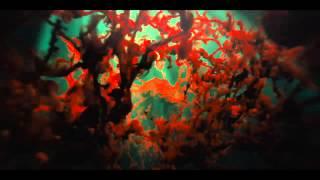 Skyfall's Opening Credit Sequence Without the Credits