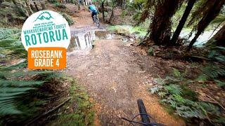 Does the creek gap go?? - Rosebank Trail, Rotorua