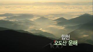 [경남100경 완전정복] 3경. 합천 오도산 운해