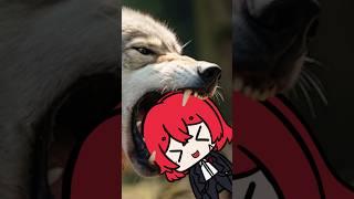 Into The Wolf's Mouth! (Italian saying) #shorts #shortsfeed #vtuber #italian