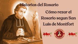 Cómo rezar el Rosario según San Luis de Montfort - Historias del Rosario