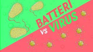 Qual è la differenza tra virus e batteri? | Pillole di Scienza