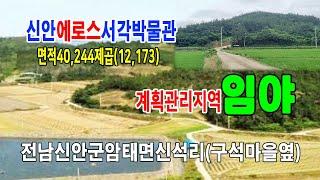 [24-069]신안 암태도 신석리 천사대교 오도항부근 에로스 서각박물관 있는구석 마을옆 계획관리지역 경사도 10-15° 개 발용 저렴한 임야 매매~