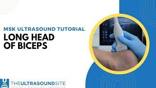 How to scan the long head of biceps on MSK Ultrasound