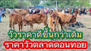 พาชมบรรยากาศซื้อขายวัวตลาดดอนทอย อ.อากาศ จ.สกลนคร 17/3/68 #ราคาวัววันนี้