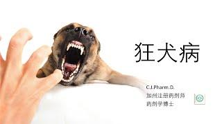 中国是狂犬病疫区。被狗咬以后，该如何正确治疗狂犬病？十日观察期科学吗？