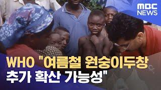 WHO "여름철 원숭이두창 추가 확산 가능성" (2022.06.01/MBC뉴스)