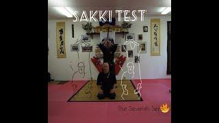 The Sixth Sense | Bujinkan Godan no Shiken | with Dai Shihan Axel Franke