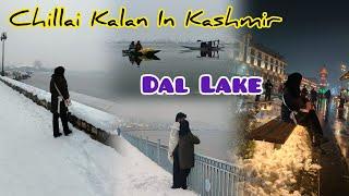 Dal Lake In Winters🫣||Chillai Kalan In Kashmir||Trip Day-2