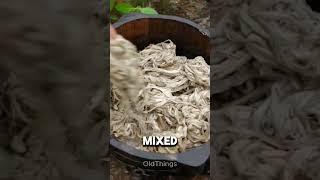 The Origin of Paper: Ancient China’s Secret