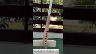 What Is The BEST Budget Cricket Bat For Beginners?
