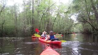 Swamp Kayak Tour