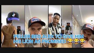 WATCH HOW ALEX REFUSED TO GIVE PELLER HIS LION  SEE PELLER'S REACTION #FUNNY #VIRAL #VIDEO