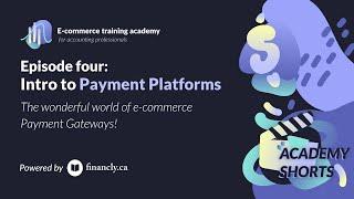 Intro to Payment Platforms: The wonderful world of e-commerce Payment Gateways!