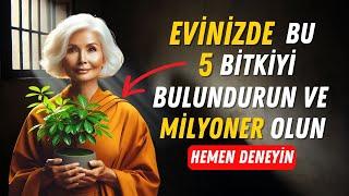 Hayatınıza Anında Zenginlik Çekecek 5 Güçlü Bitki | Para Bolluğu Budizmi