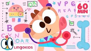 DOCTOR SONG ‍️ + More Songs for Kids | Lingokids