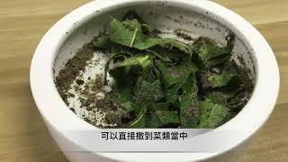 [AOG Channel] Reptile supplement