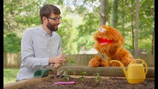 Garbanzo Learns About Composting | How plants grow | Wonderful Worms | Nature Time