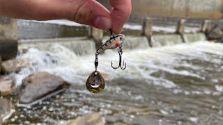 This STRANGE Lure Catches GIANT Fish!