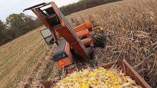 New Idea but Old Technology Ear Picking Corn