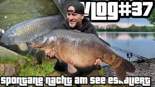 Spontane Nacht am See eskaliert / Frühlingsangeln mit Sascha Pingel | Vlog#37 BrockeTV