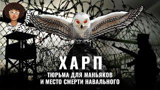 Тюрьма, из которой не выходят: «Полярная сова» | Где сидят маньяки и как отбывают пожизненный срок