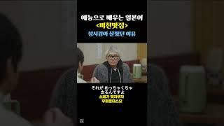[미친맛집] 예능으로 배우는 일본어 #일본어공부 #일본어쉐도잉