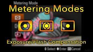 Metering & Exposure/Flash Compensation