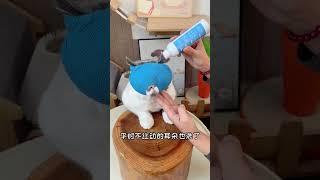 猫咪防咬头套，有了它随便给猫剪指甲啦 新手养猫 防咬嘴套 宠物用品