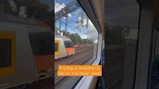 Racing a Waratah B Set on the Inner West #sydneytrains #trains #shorts