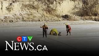 Kamloops, B.C. firefighters rescue deer from frozen river