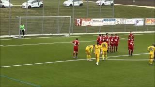 21. SPIELTAG LANDESLIGA /// 1.FC HEININGEN - TSG SCHNAITHEIM 4:0(3:0)