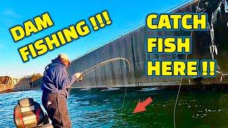 A SIMPLE fishing TECHNIQUE that CATCHES FISH like CRAZY!! ( ACTION PACK )